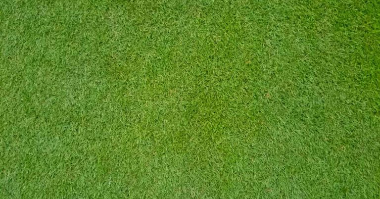 Bermuda grass sod in Shreveport, Bossier City, Minden, Monroe, Ark La Tex