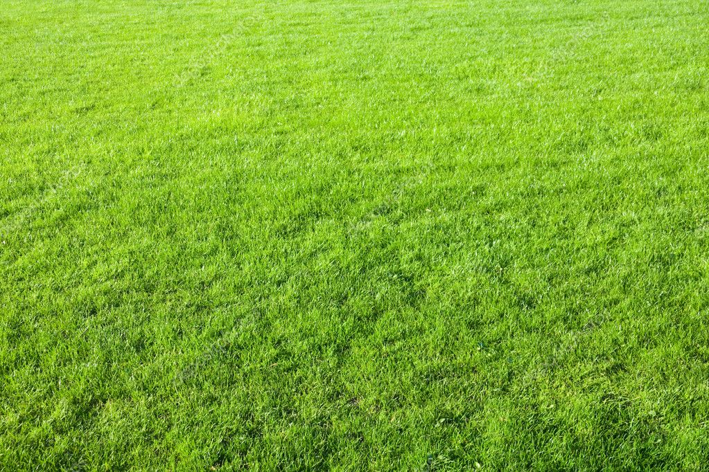 Shreveport Sod - sod delivery in Shreveport, Bossier City, Minden, Monroe, Ark La Tex